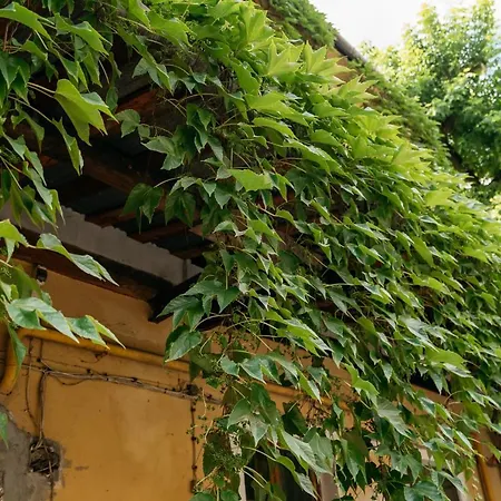 Cosy - Loftaffair Krakau